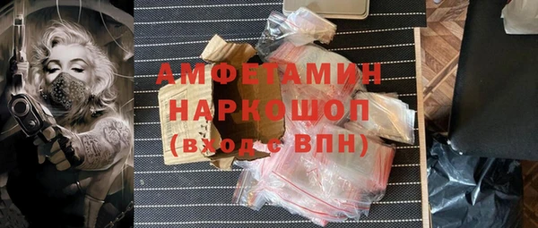 ешки Алексин