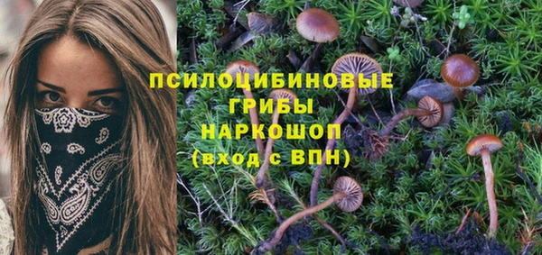 PSILOCYBIN Арсеньев