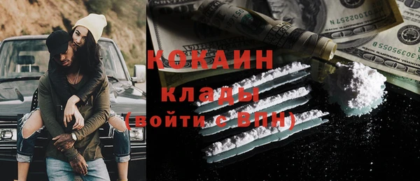 ешки Алексин