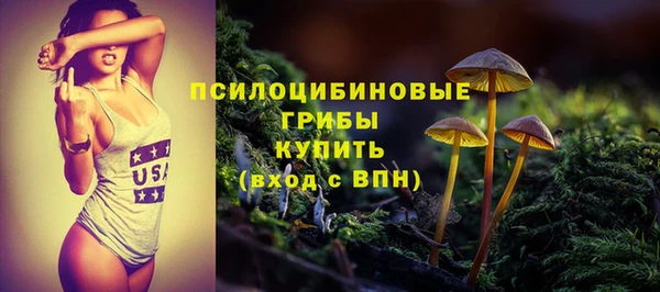 ешки Алексин