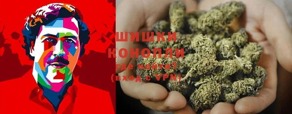 крисы Аркадак