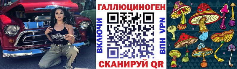 Галлюциногенные грибы Psilocybe  omg как зайти  Брянск 
