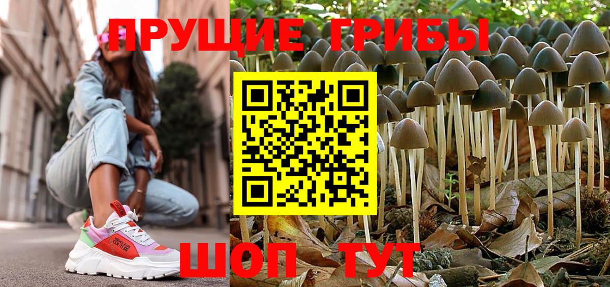 Брянск  Галлюциногенные грибы MAGIC MUSHROOMS  Вход с VPN 